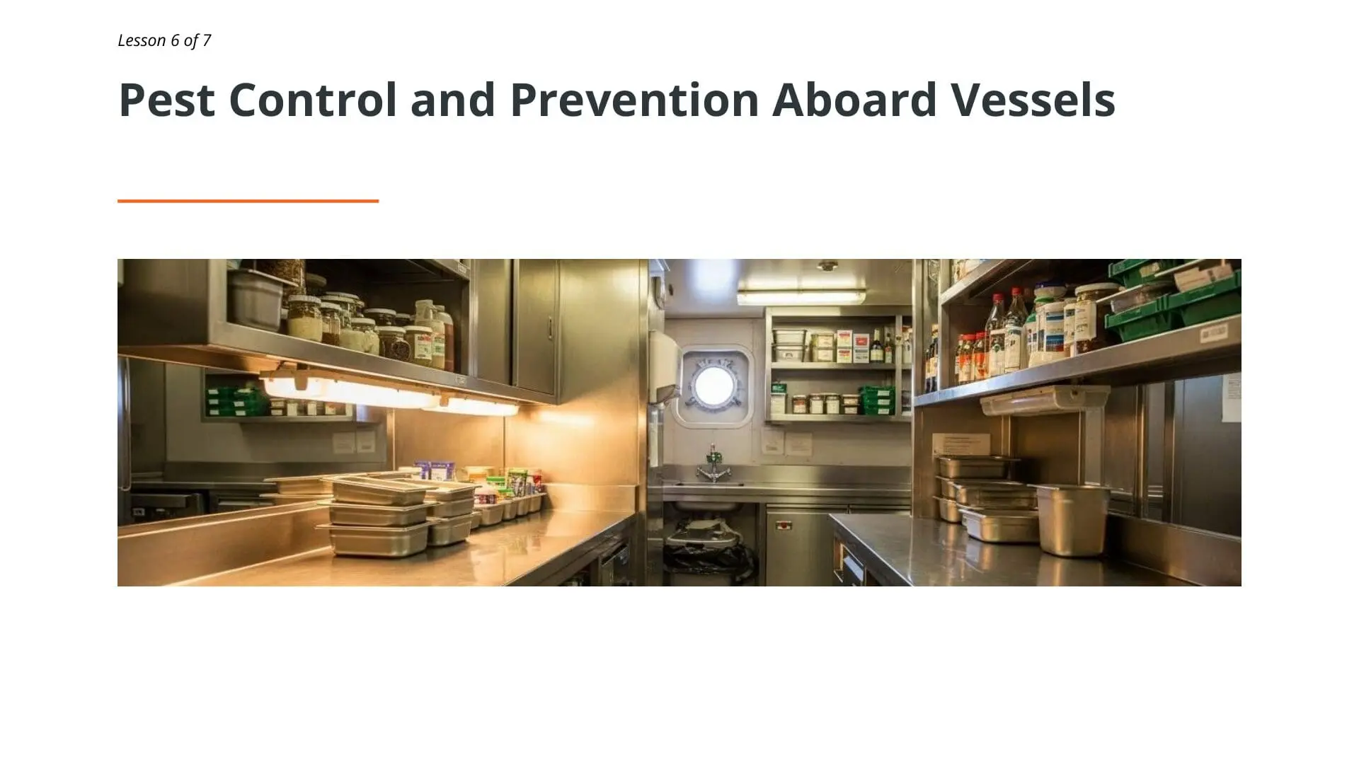 Maritime ship galley kitchen with stainless steel counters, shelving with pest control supplies, containers, and organized food storage demonstrating housekeeping standards